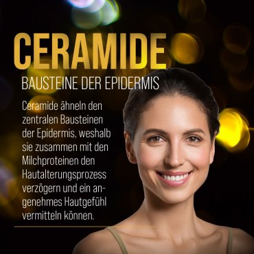 Anti-Aging SB 500 Creme 100 ml