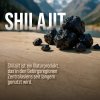 Shilajit-Kapseln 180 Kapseln