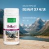 Shilajit-Kapseln 180 Kapseln