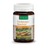 Cordyceps-Sinensis-Kapseln 90 Kapseln