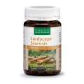 Cordyceps-Sinensis-Kapseln 90 Kapseln