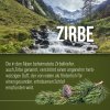 Zirbenöl / Ätherisches Öl 30 ml