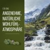 Zirbenöl / Ätherisches Öl 30 ml