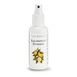 Désodorisant Citron 125 ml