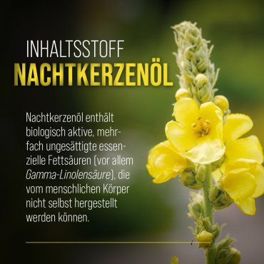 Carotin-Kapseln 100 Kapseln