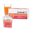Gelenkfit Hagebutte-Plus-Trinkpulver 240 g