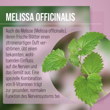 Baldrian-Melisse-Nerven-Kapseln 240 Kapseln