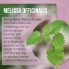 Baldrian-Melisse-Nerven-Kapseln 240 Kapseln