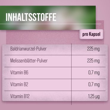 Baldrian-Melisse-Nerven-Kapseln 240 Kapseln