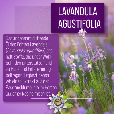 Lavendel-Nerven-Kapseln 120 Kapseln