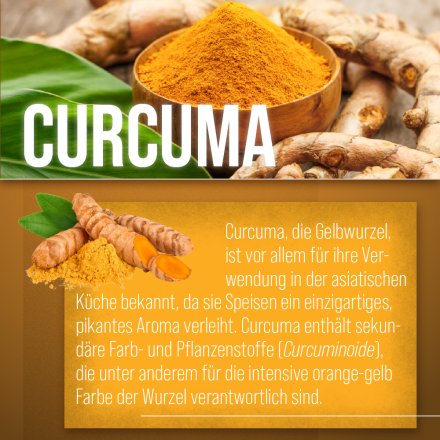 Curcuma-Kapseln 60 Kapseln