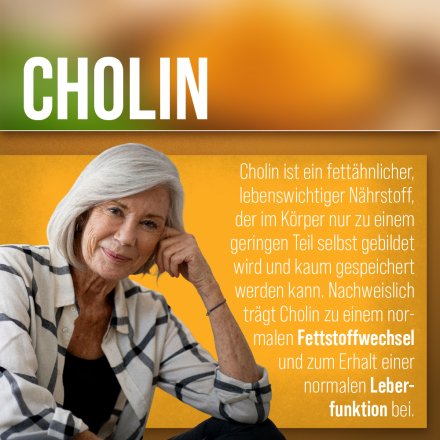 Curcuma-Kapseln 60 Kapseln