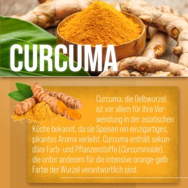 Curcuma-Kapseln 180 Kapseln