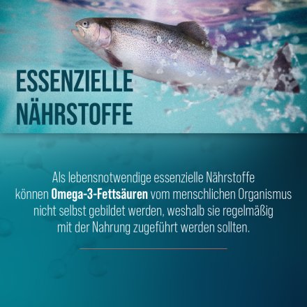 Omega-3 Fischöl-Kapseln 500 mg 120 Kapseln