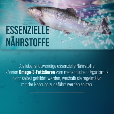Omega-3 Fischöl-Kapseln 500 mg 120 Kapseln