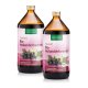 Jus Vital de baies de sureau bio