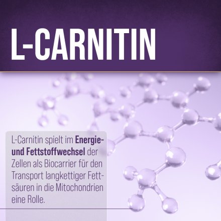 Sanct Bernhard Sport L-Carnitin-Kapseln 180 Kapseln