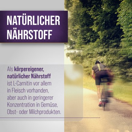 Sanct Bernhard Sport L-Carnitin-Kapseln 180 Kapseln