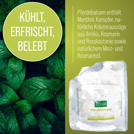Pferdebalsam 200 ml