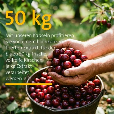 42 Kapeln