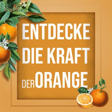 Orangen-Universalreiniger Konzentrat Flasche