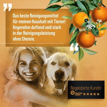 Orangen-Universalreiniger Konzentrat Flasche