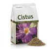 Bio-Cistus-Kraut