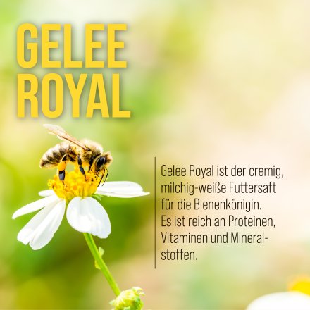 Vitamin-Kapseln mit Gelee-Royal 120 Kapseln