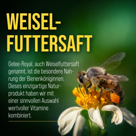 Vitamin-Kapseln mit Gelee-Royal 120 Kapseln