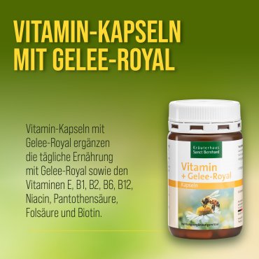 Vitamin-Kapseln mit Gelee-Royal 120 Kapseln
