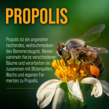 Propolis-Salbei-Lutschtabletten 150 Tabletten