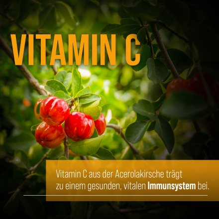 Propolis-Salbei-Lutschtabletten 150 Tabletten