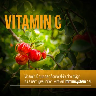 Propolis-Salbei-Lutschtabletten 150 Tabletten