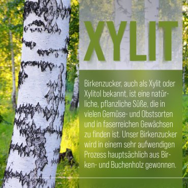 Sweet Nature Xylitol Birkenzucker