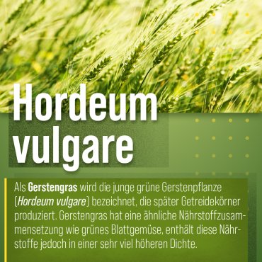 Bio-Gerstengras-Pulver 350 g