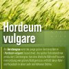 Bio-Gerstengras-Pulver 350 g