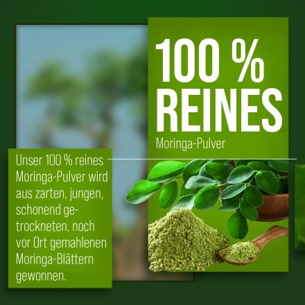 Moringa-Kapseln 500 mg 240 Kapseln