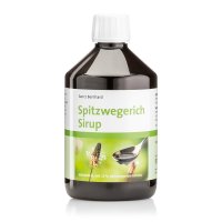 Spitzwegerich-Sirup 500 ml