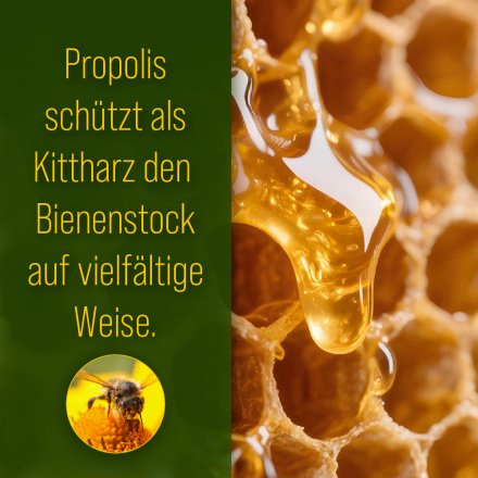 Propolis-Vitamin-C-Kapseln 90 Kapseln