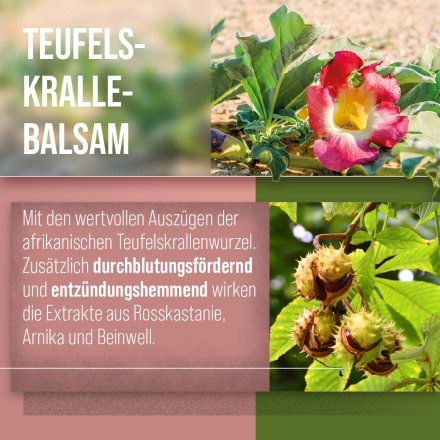 Teufelskralle-Balsam 150 ml