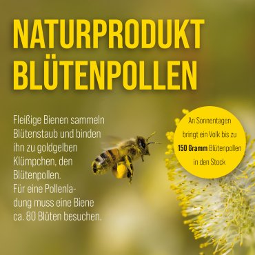 Bl&uuml;tenpollen Extraqualit&auml;t 300 g