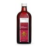 Herbaginsan Ginseng-Elixier 250 ml