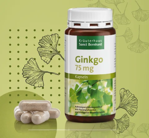 Das Produkt Ginkgo vor einem illustrierten, grünen Hintergrund.