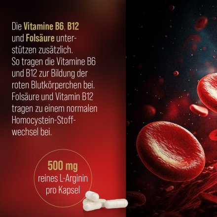 Arginin-Kapseln 500 mg 150 Kapseln