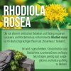 Rhodiola-Rosenwurz-Kapseln 120 Kapseln
