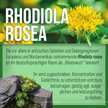 Rhodiola-Rosenwurz-Kapseln 120 Kapseln