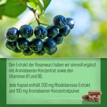 Rhodiola-Rosenwurz-Kapseln 120 Kapseln