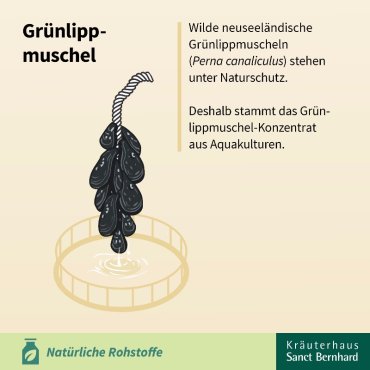 Grünlippmuschel-Balsam 150 ml