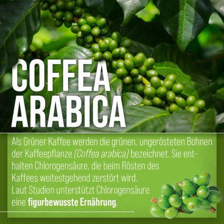 Grüner-Kaffee-Kapseln 120 Kapseln