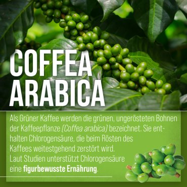 Grüner-Kaffee-Kapseln 120 Kapseln